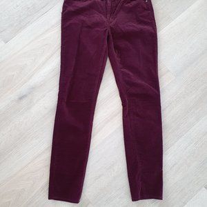 Buffalo Burgundy/Wine Color Velour Pants